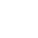 505brl icon