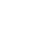 505brl icon