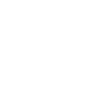 505brl icon