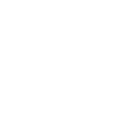 505brl icon