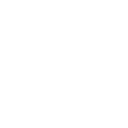 505brl icon