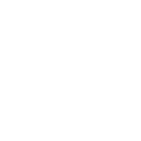 505brl icon