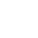 505brl icon
